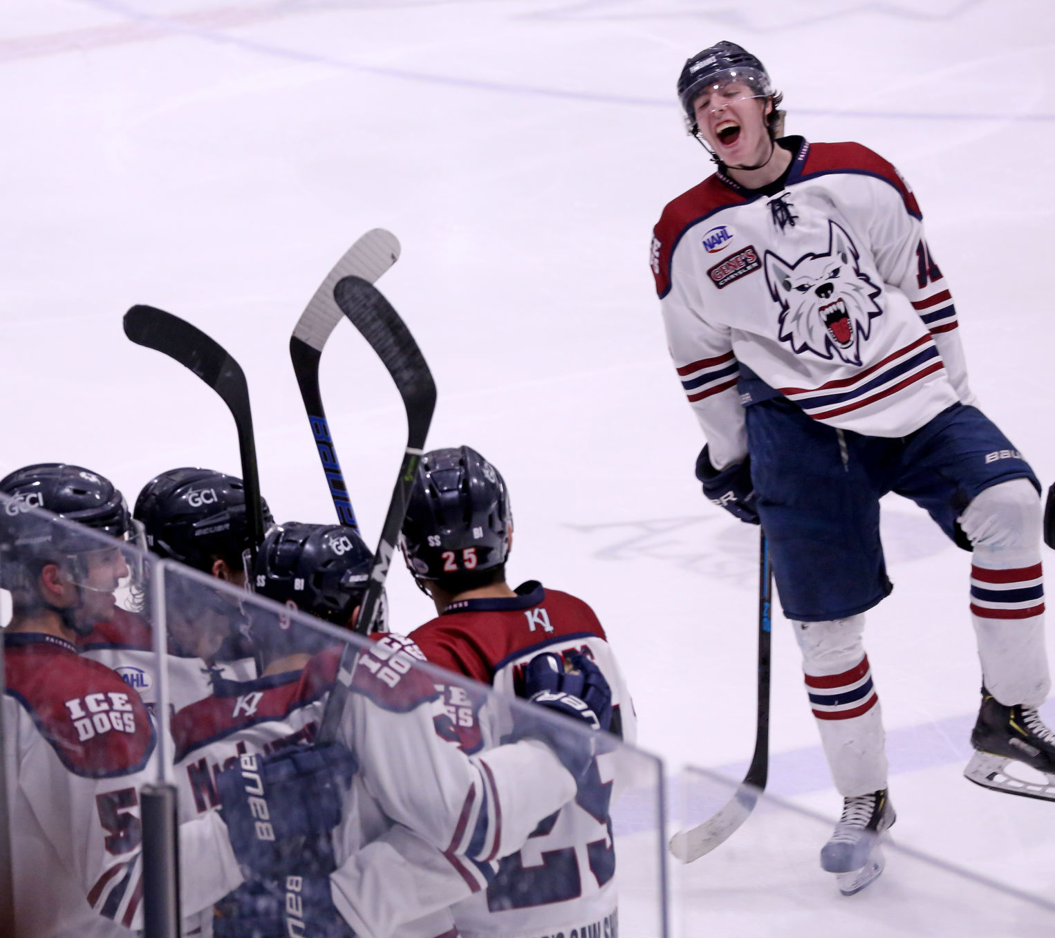 Ice Dogs
